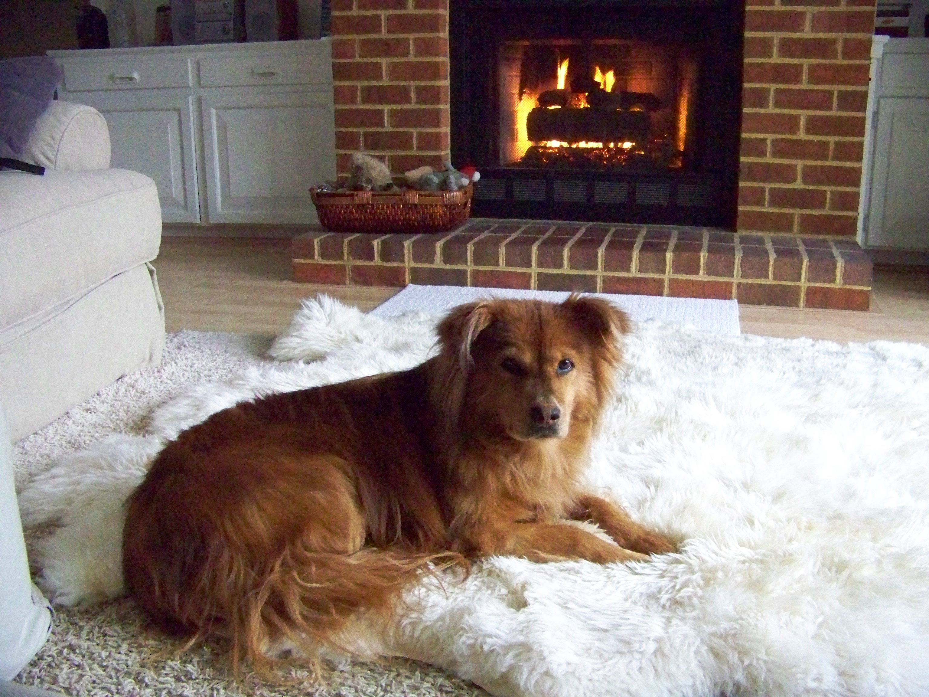 Rachel and Fireplace